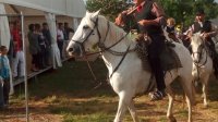 Féria 2016