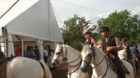 Féria 2016