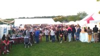 Féria 2019